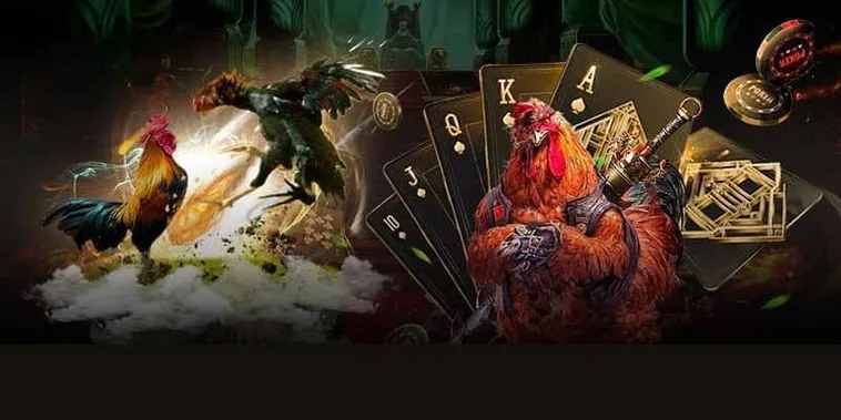 Bí Quyết Chơi Đá Gà 3D Tại Gem88 Từ Chuyên Gia Cá Cược